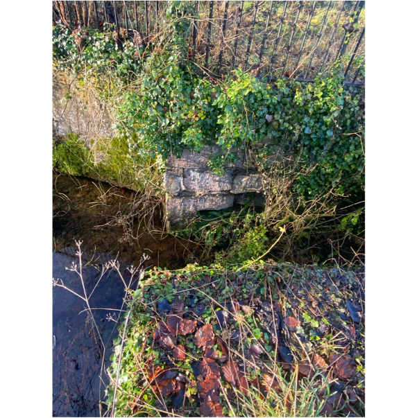 A stone wall with plants growing on it

AI-generated content may be incorrect.
