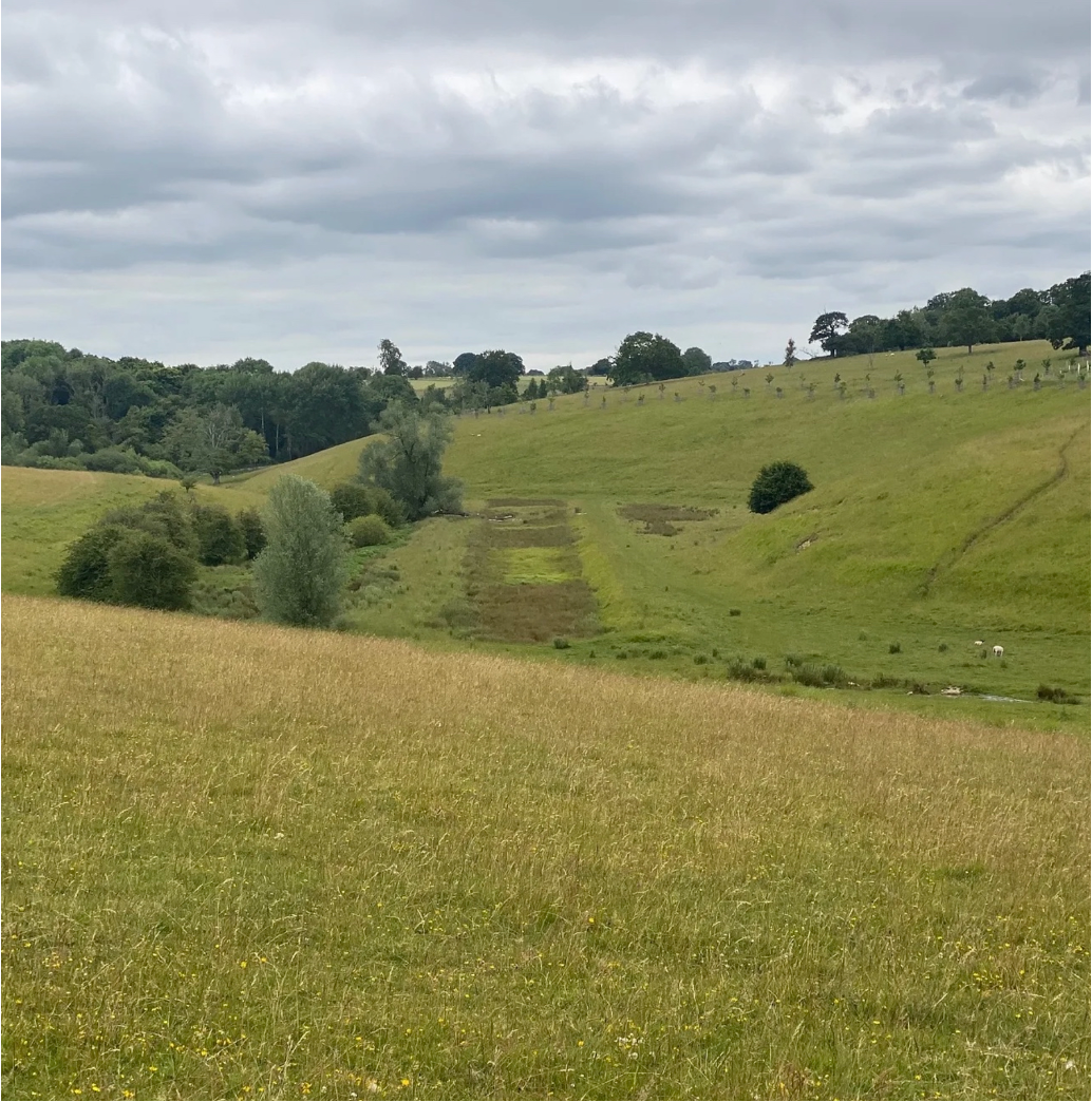 Lodge Park's rectangular pool