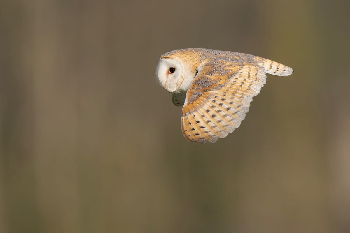 A Brief Catch-up from Sherborne