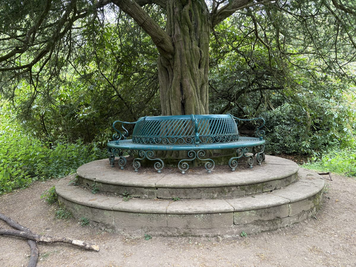 Something special in Sherborne - Part 2