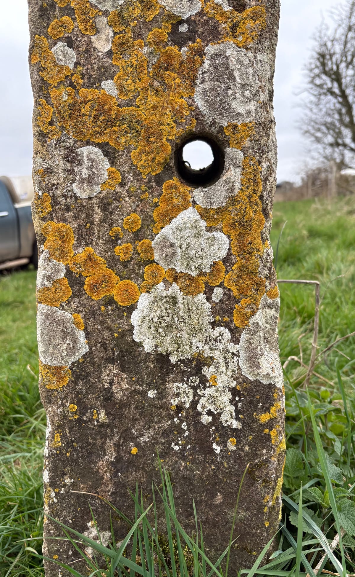 Crossing the Threshold: A Summer Encounter with Sherborne's Underworld