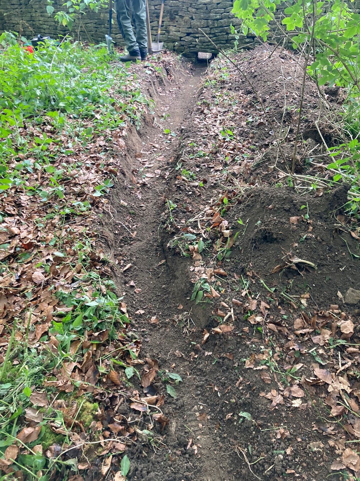 Follow up on Springs, Silt, Swans and Stuff in Sherborne