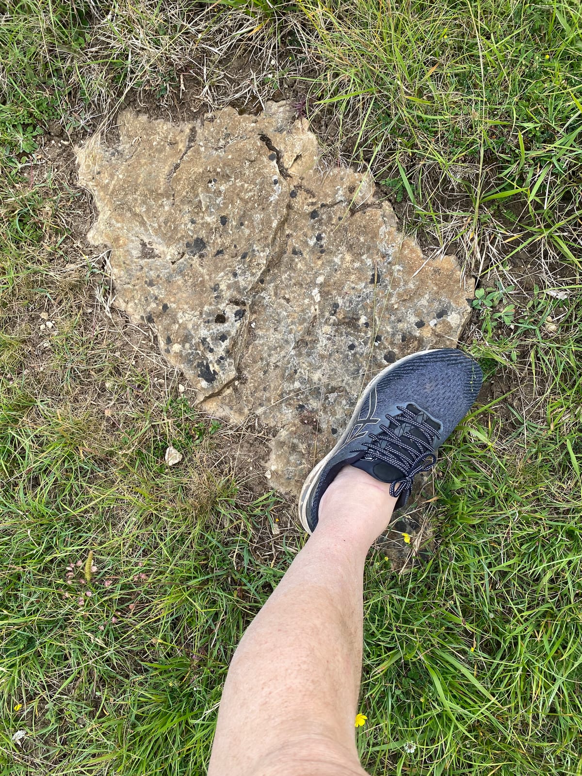 Standing Stones, Fallen Stones.