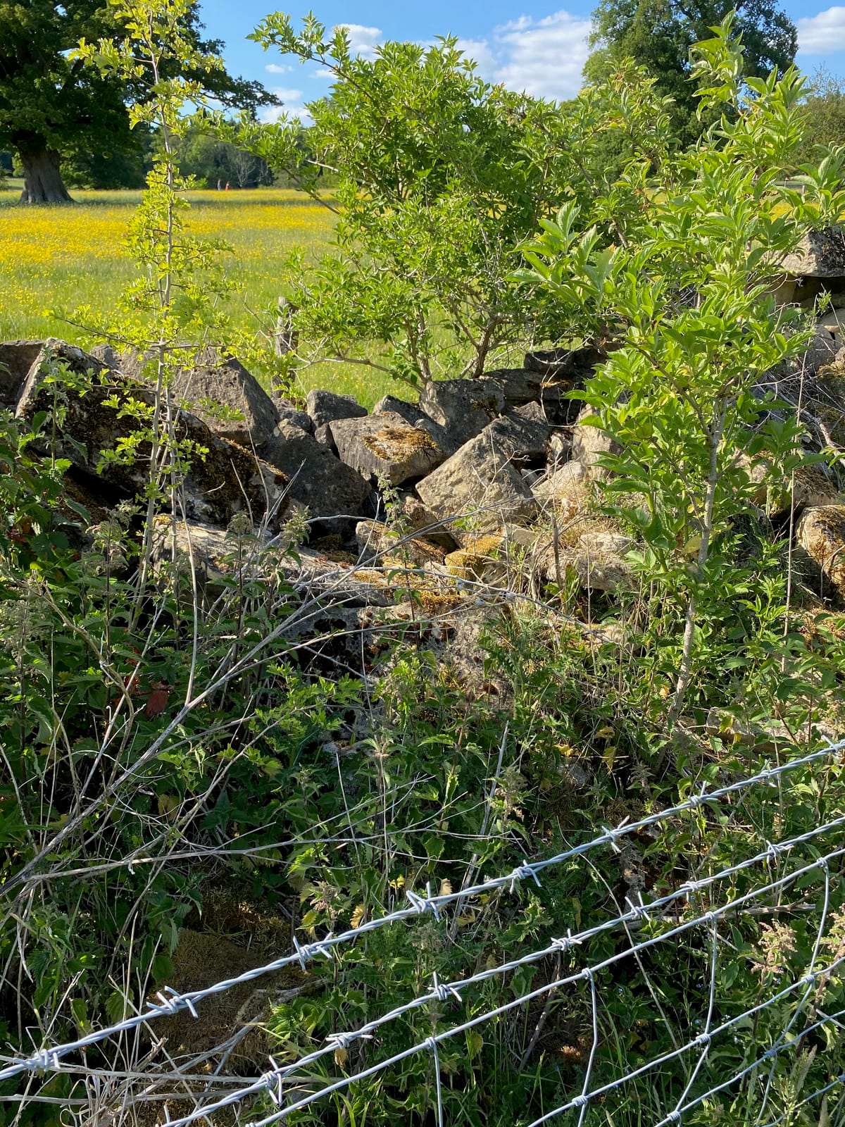 The Economics of Sherborne's Landscape Today