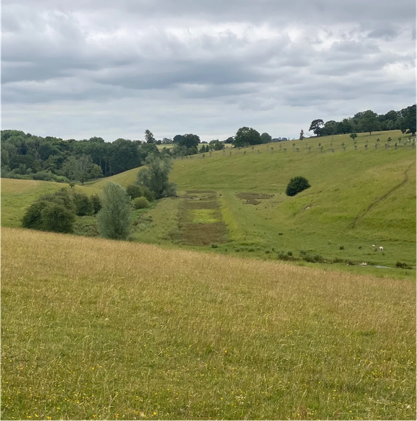Lodge Park's rectangular pool