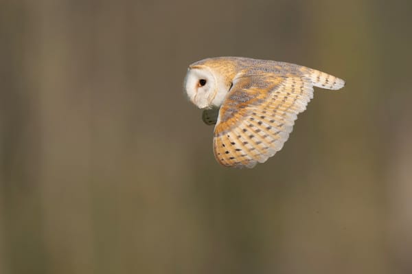 A Brief Catch-up from Sherborne