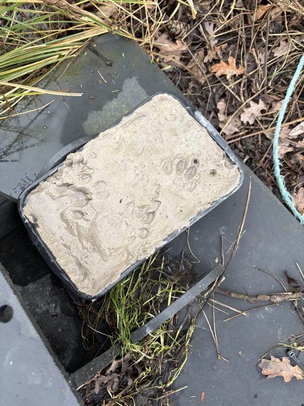 Happy New Year, Sherborne