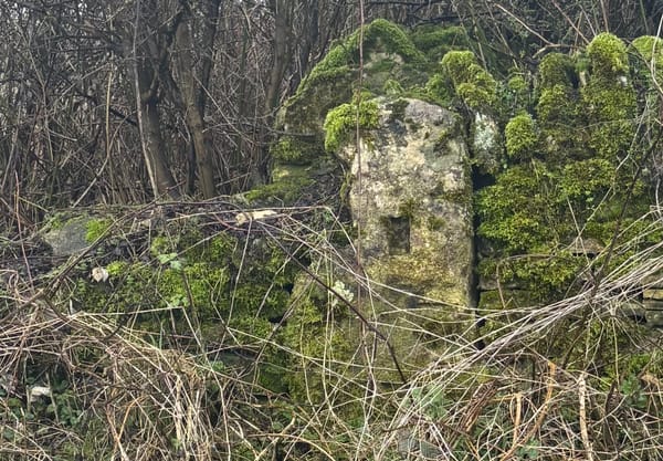 Sherborne’s Standing Stones