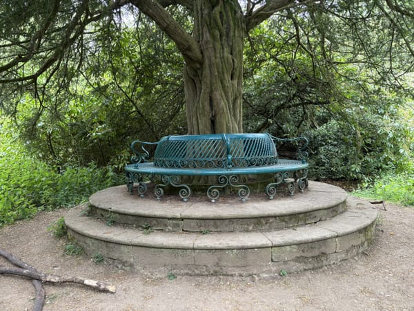 Something special in Sherborne - Part 2