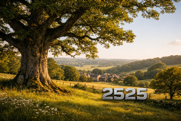 Where can we put 6 more Sherborne Guardians?