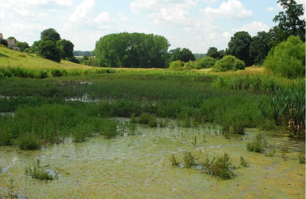 For the want of a nail..