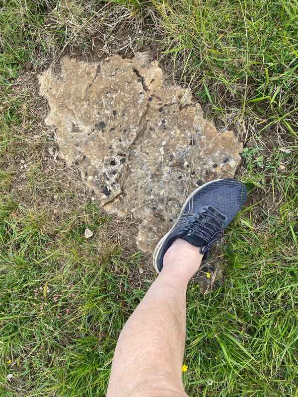 Standing Stones, Fallen Stones.